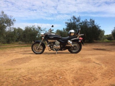 221042288_4.jpg (57.44 KiB) Visto 4496 veces Ruta por los pinares de Aznalcazar