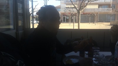 Vice solito