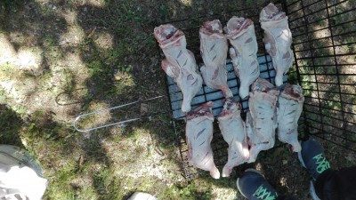 IMG_20170507_132024.jpg