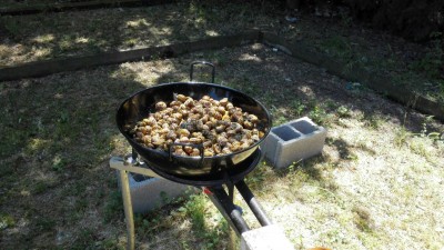 IMG-20170507-WA0020.jpg