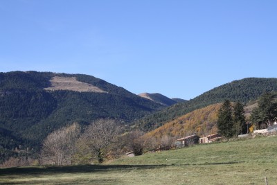 IMG_6579.JPG