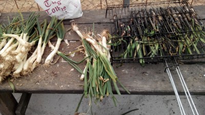 nuestro rey del dia,el calçot