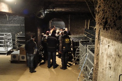 entre botellas y techos muy limpiossssss