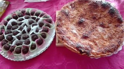 IMG_20170204_155946.jpg