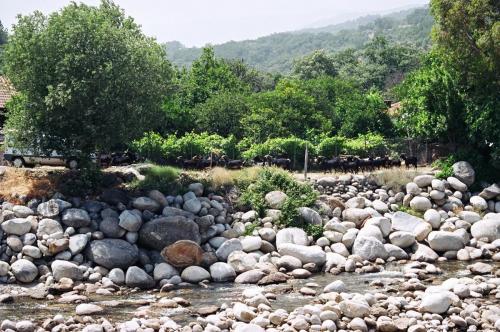 97-Candeleda-Mayo-2006